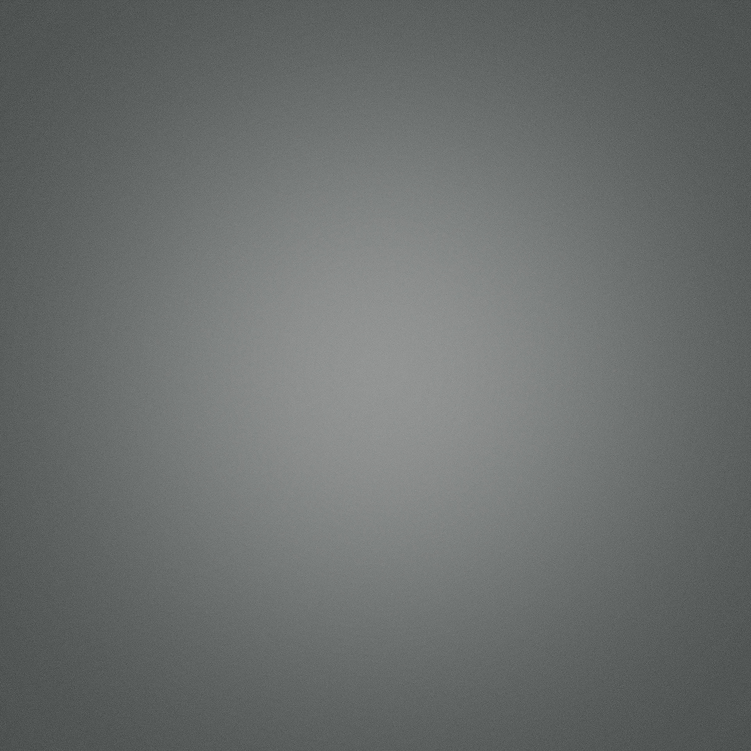 FX12ML grigio-minerale