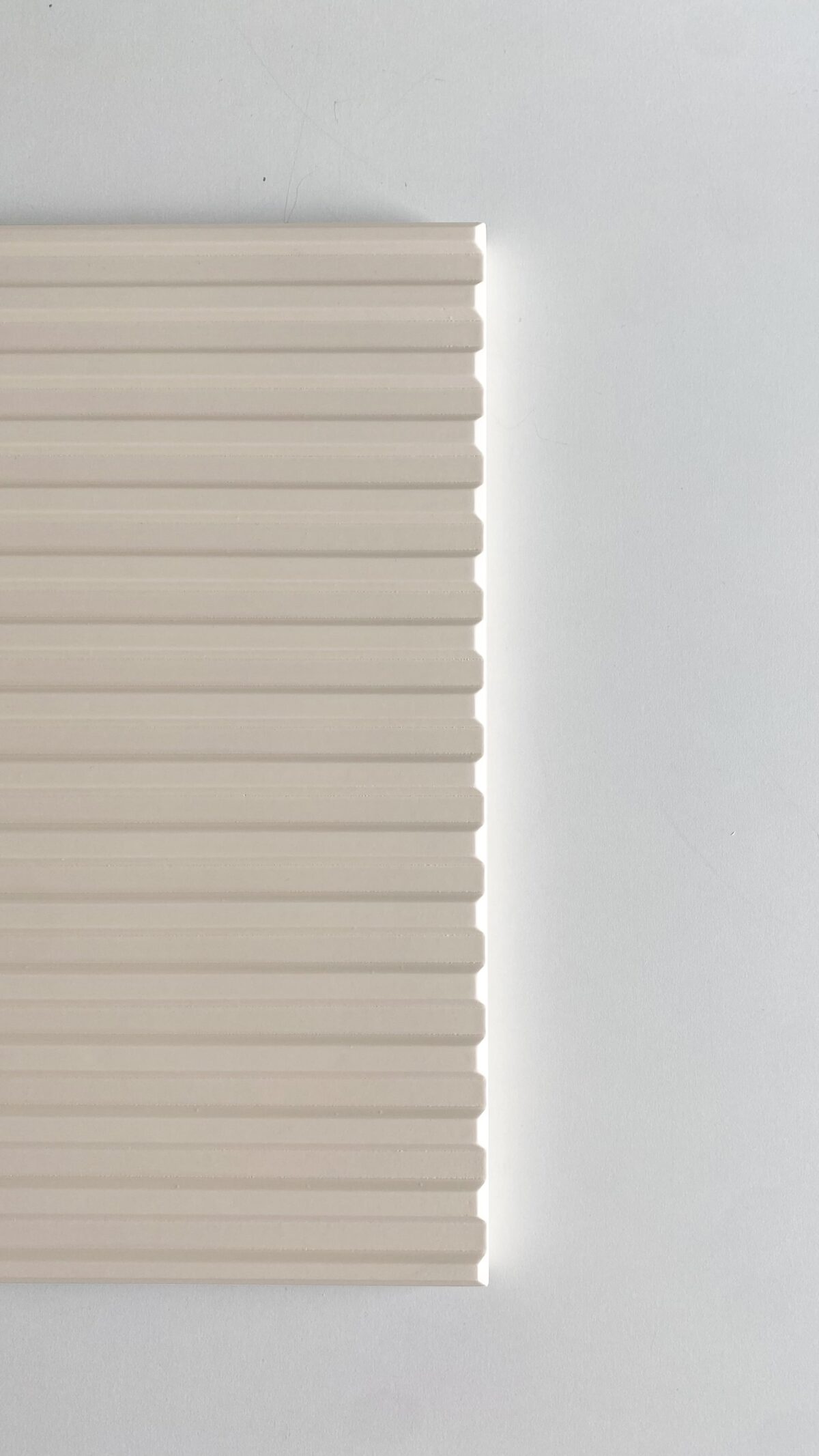 BC02 copia